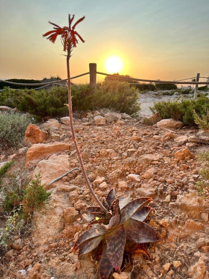 Arenas Del Mar Formentera Villa Es Arenals Eksteriør bilde